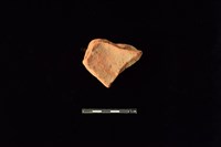 連杯形器藏品圖，第2張